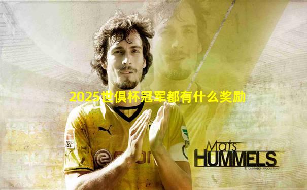 2025世俱杯冠军都有什么奖励