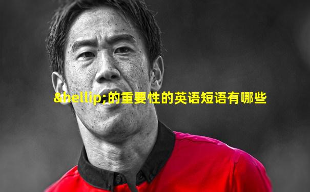 …的重要性的英语短语有哪些