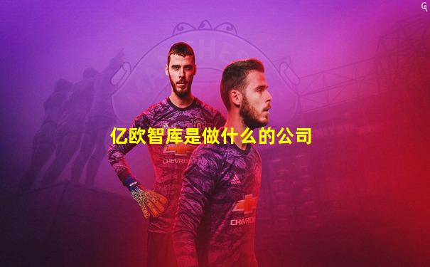 亿欧智库是做什么的公司