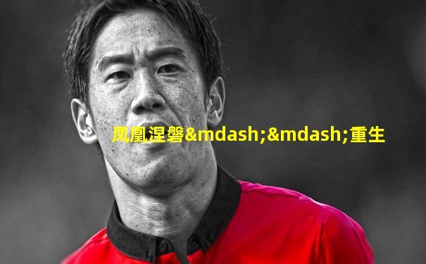 凤凰涅磐——重生
