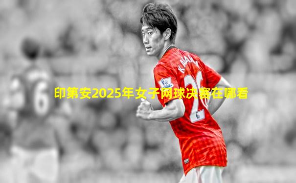 印第安2025年女子网球决赛在哪看