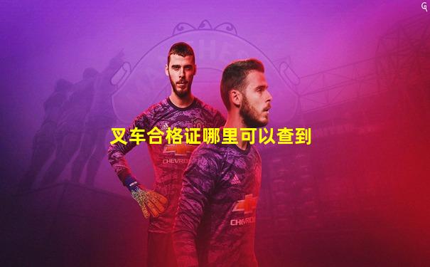 叉车合格证哪里可以查到