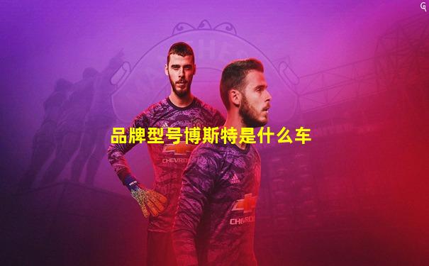 品牌型号博斯特是什么车