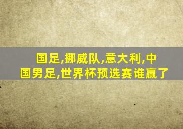 国足,挪威队,意大利,中国男足,世界杯预选赛谁赢了