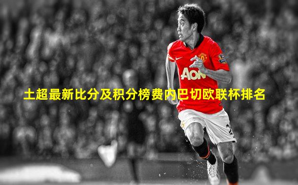 土超最新比分及积分榜费内巴切欧联杯排名