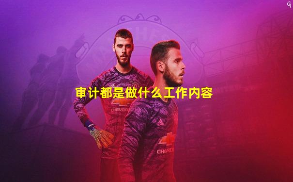 审计都是做什么工作内容