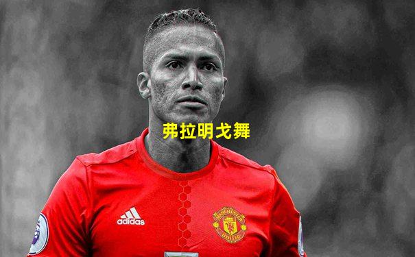 弗拉明戈舞