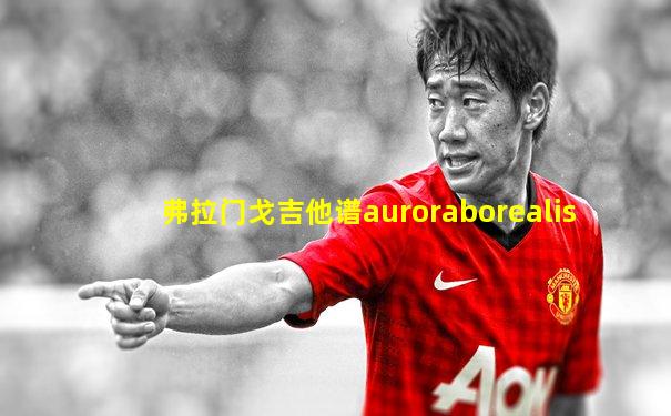 弗拉门戈吉他谱auroraborealis