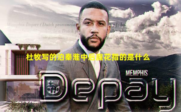 杜牧写的泊秦淮中后庭花指的是什么