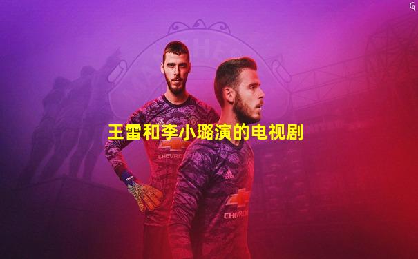王雷和李小璐演的电视剧