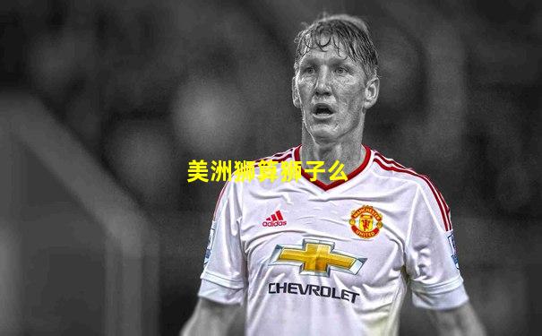 美洲狮算狮子么
