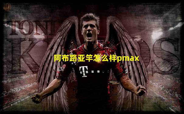 阿布路亚竿怎么样pmax